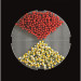 FDK20MG