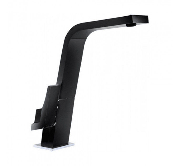 Кухонний змішувач TEKA ICON H (IC 915) black