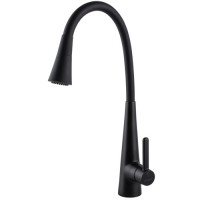 Кухонний змішувач GLOBUSLUX LAZER Pro GLPR-203SM-BB