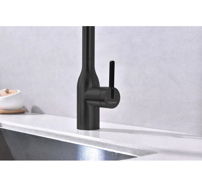 Кухонний змішувач FABIANO FKM 3129 Black Steel